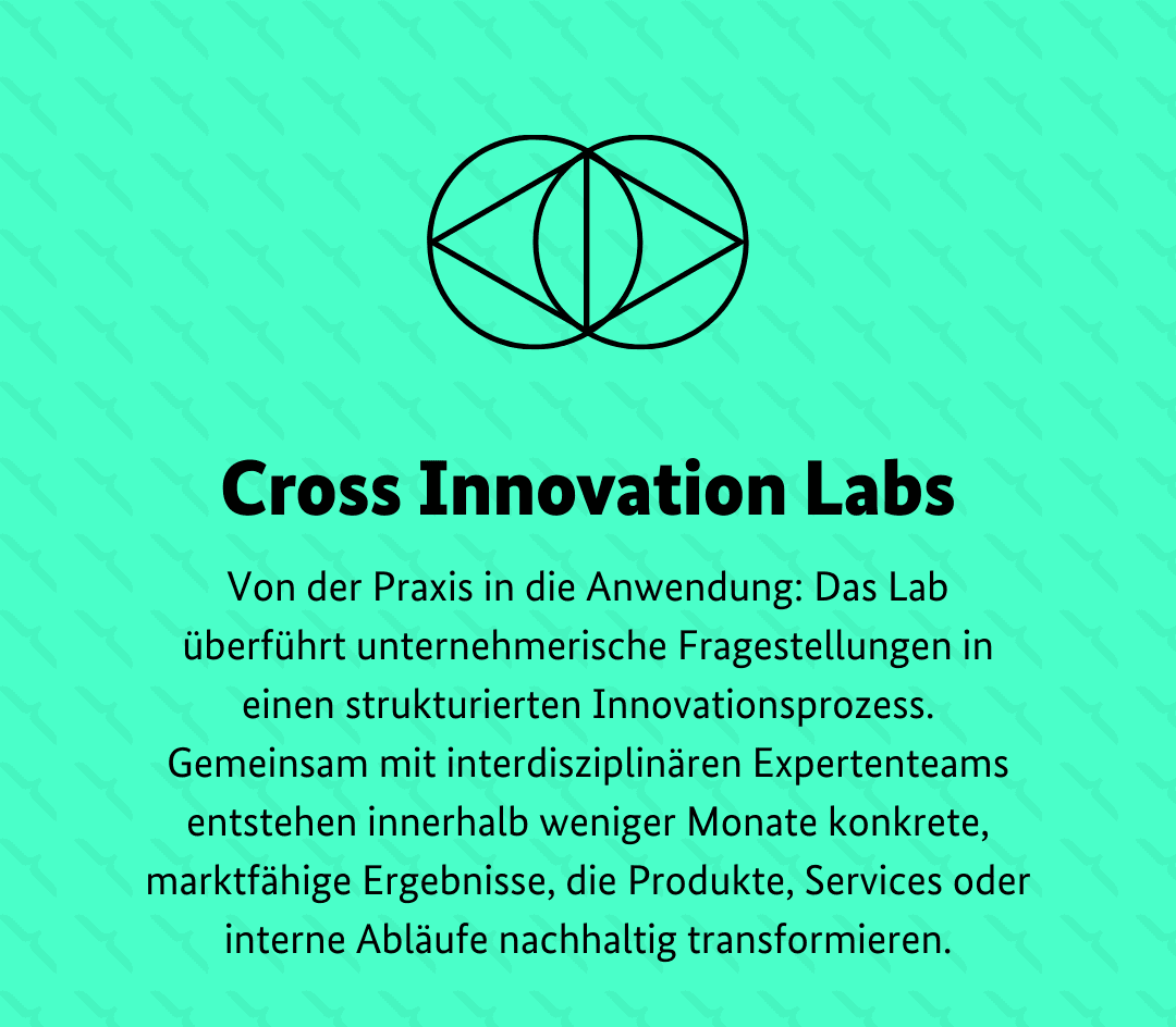 Logo with two overlapping circles above the text "Cross Innovation Labs" in bold. German description about innovation processes below.